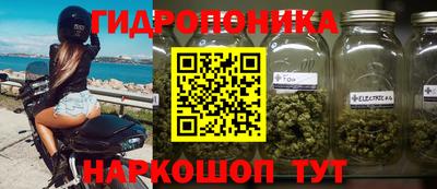 МДПВ Заволжье