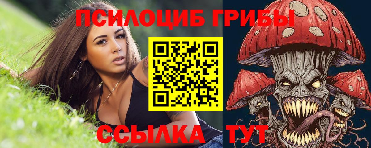Псилоцибиновые грибы прущие грибы Сосновоборск