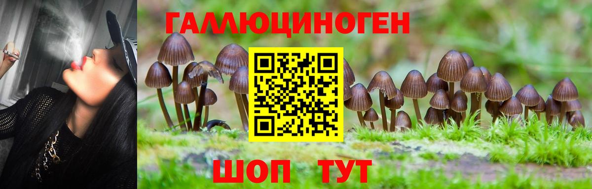 Псилоцибиновые грибы мухоморы  Вход с VPN  Сосновоборск 